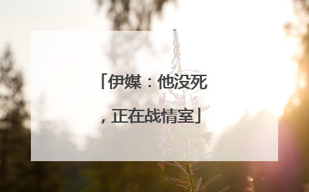 伊媒：他没死，正在战情室