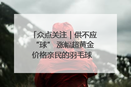 众点关注｜供不应“球” 涨幅超黄金 价格亲民的羽毛球为何身价飞涨？