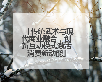 传统武术与现代商业融合，创新互动模式激活消费新动能