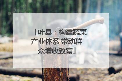 叶县：构建蔬菜产业体系 带动群众增收致富