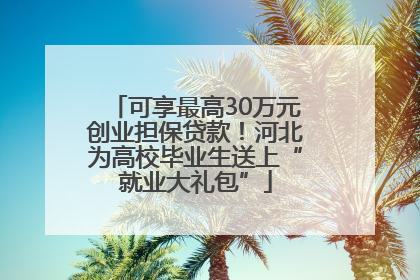 可享最高30万元创业担保贷款！河北为高校毕业生送上“就业大礼包”