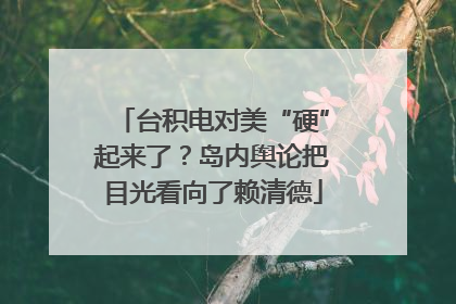台积电对美“硬”起来了？岛内舆论把目光看向了赖清德