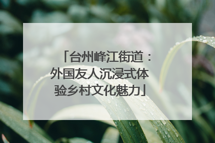 台州峰江街道：外国友人沉浸式体验乡村文化魅力