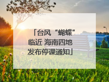 台风“蝴蝶”临近 海南四地发布停课通知