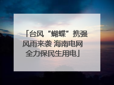 台风“蝴蝶”携强风雨来袭 海南电网全力保民生用电