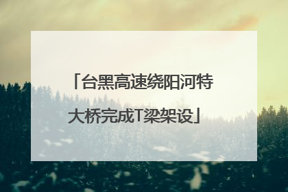 台黑高速绕阳河特大桥完成T梁架设
