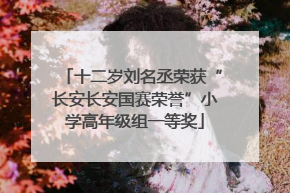 十二岁刘名丞荣获“长安长安国赛荣誉”小学高年级组一等奖