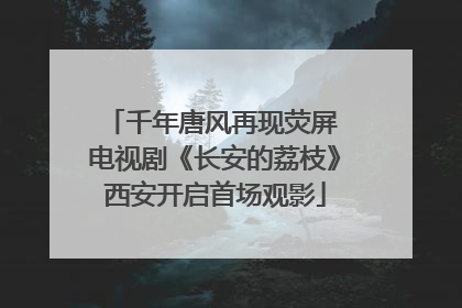 千年唐风再现荧屏 电视剧《长安的荔枝》西安开启首场观影