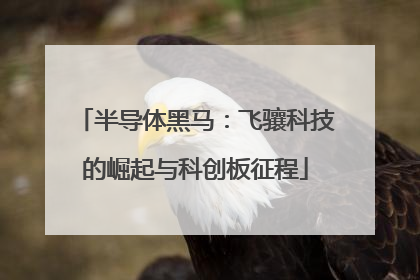 半导体黑马：飞骧科技的崛起与科创板征程