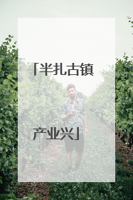 半扎古镇产业兴