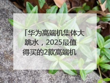 华为高端机集体大跳水，2025最值得买的2款高端机 mate70、pura70如何选？