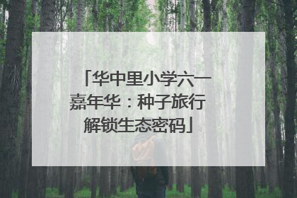 华中里小学六一嘉年华：种子旅行解锁生态密码