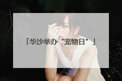 华沙举办“宠物日”
