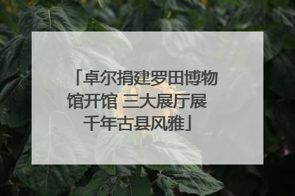 卓尔捐建罗田博物馆开馆 三大展厅展千年古县风雅