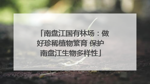 南盘江国有林场：做好珍稀植物繁育 保护南盘江生物多样性