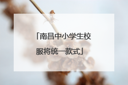 南昌中小学生校服将统一款式