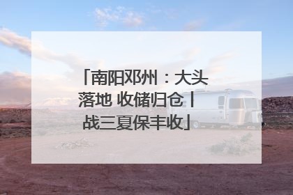 南阳邓州：大头落地 收储归仓丨战三夏保丰收