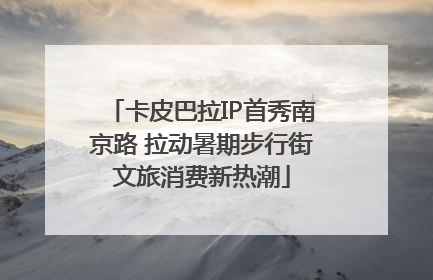 卡皮巴拉IP首秀南京路 拉动暑期步行街文旅消费新热潮