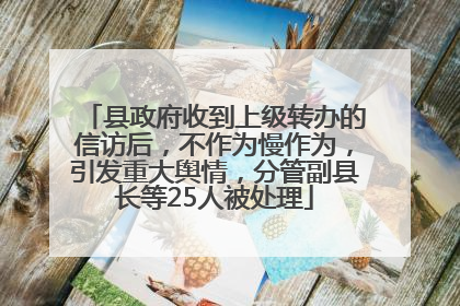县政府收到上级转办的信访后，不作为慢作为，引发重大舆情，分管副县长等25人被处理