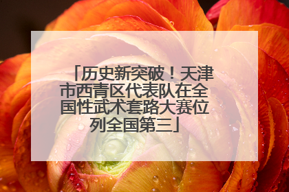 历史新突破！天津市西青区代表队在全国性武术套路大赛位列全国第三