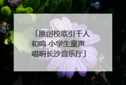 原创校歌引千人和鸣 小学生童声唱响长沙音乐厅