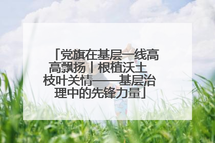 党旗在基层一线高高飘扬丨根植沃土 枝叶关情——基层治理中的先锋力量