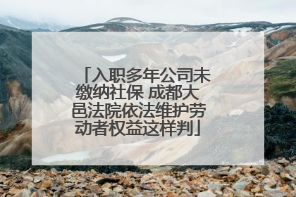 入职多年公司未缴纳社保 成都大邑法院依法维护劳动者权益这样判