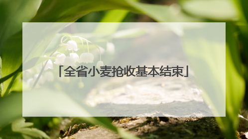 全省小麦抢收基本结束