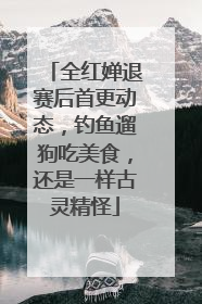 全红婵退赛后首更动态，钓鱼遛狗吃美食，还是一样古灵精怪