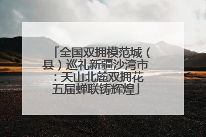 全国双拥模范城（县）巡礼新疆沙湾市：天山北麓双拥花 五届蝉联铸辉煌