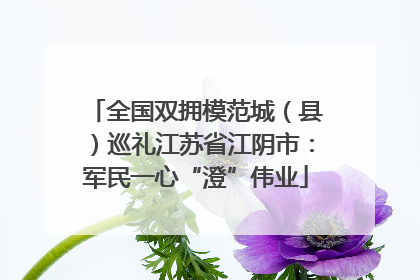 全国双拥模范城（县）巡礼江苏省江阴市：军民一心“澄”伟业