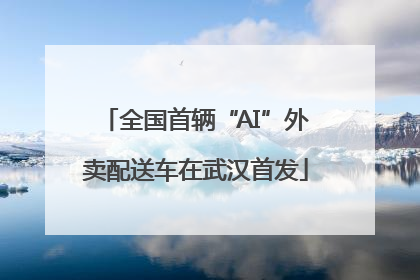 全国首辆“AI”外卖配送车在武汉首发