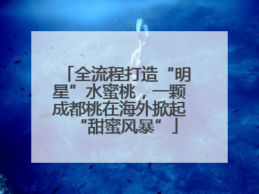 全流程打造“明星”水蜜桃，一颗成都桃在海外掀起“甜蜜风暴”