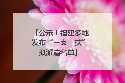 公示！福建多地发布“三支一扶”拟派遣名单