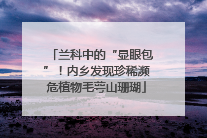 兰科中的“显眼包”！内乡发现珍稀濒危植物毛萼山珊瑚
