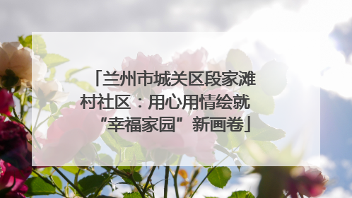 兰州市城关区段家滩村社区：用心用情绘就“幸福家园”新画卷