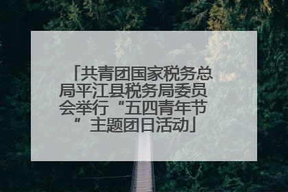 共青团国家税务总局平江县税务局委员会举行“五四青年节”主题团日活动