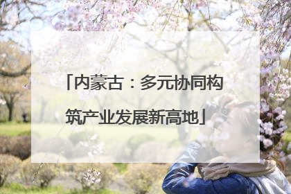 内蒙古：多元协同构筑产业发展新高地