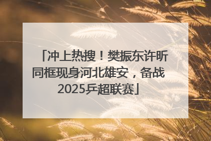 冲上热搜！樊振东许昕同框现身河北雄安，备战2025乒超联赛