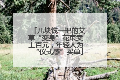 几块钱一把的艾草“变身”花束卖上百元，年轻人为“仪式感”买单