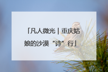 凡人微光｜重庆姑娘的沙漠“诗”行