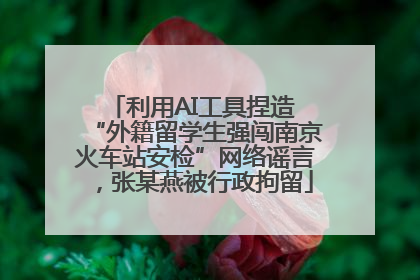 利用AI工具捏造 “外籍留学生强闯南京火车站安检”网络谣言，张某燕被行政拘留