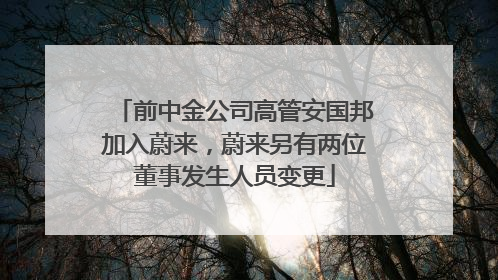 前中金公司高管安国邦加入蔚来，蔚来另有两位董事发生人员变更