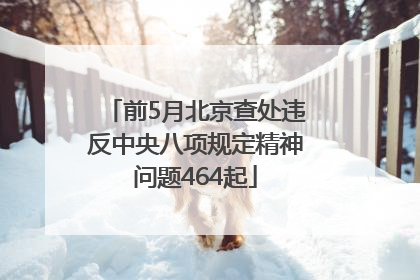 前5月北京查处违反中央八项规定精神问题464起