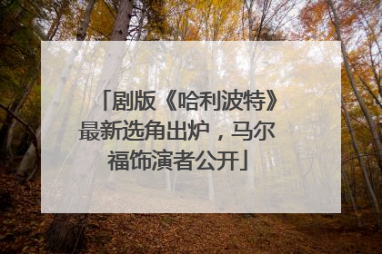 剧版《哈利波特》最新选角出炉，马尔福饰演者公开