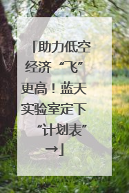 助力低空经济“飞”更高！蓝天实验室定下“计划表”→