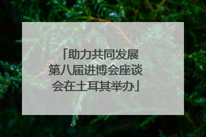 助力共同发展 第八届进博会座谈会在土耳其举办