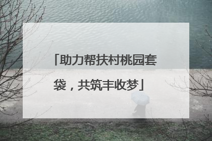 助力帮扶村桃园套袋，共筑丰收梦
