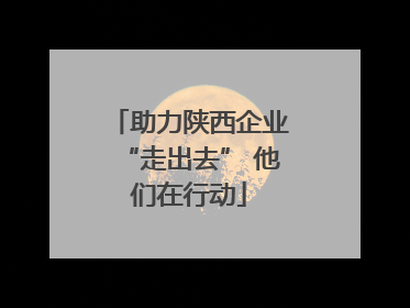 助力陕西企业“走出去” 他们在行动