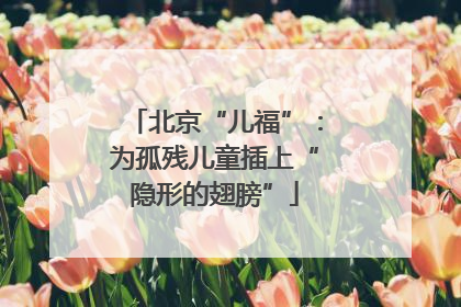北京“儿福”：为孤残儿童插上“隐形的翅膀”